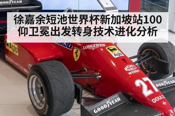 徐嘉余短池世界杯新加坡站100仰卫冕出发转身技术进化分析（nine game）